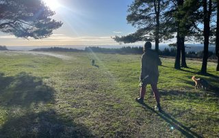 autumn walks open field